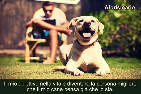Aforismario: Aforismi, frasi e citazioni su Cane e Padrone
