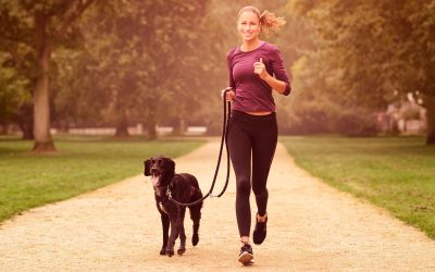 Guida per fare sport in casa con il tuo cane