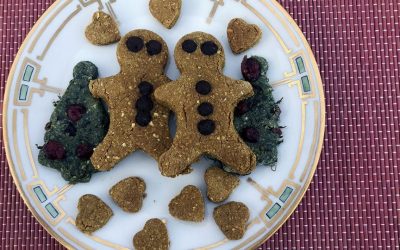 Ricette per cani: biscotti di Natale fatti in casa