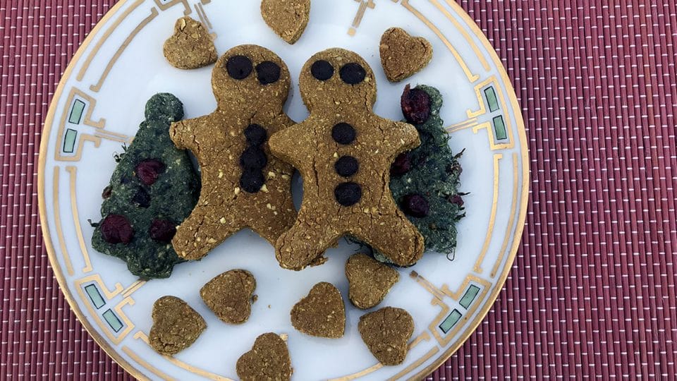 Ricette per cani: biscotti di Natale fatti in casa